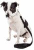 Pet Life 'Aero Mesh' Dual Sided Comfortable And Breathable Adjustable Mesh Dog Leash